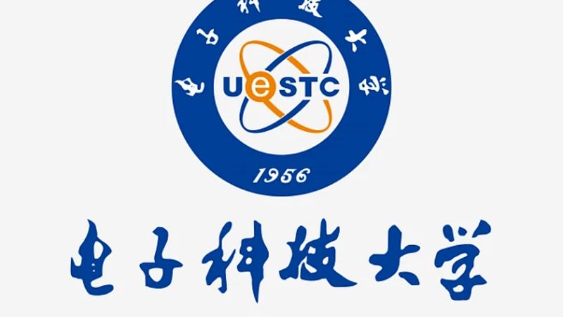 肖特基二极管：揭秘十大品牌背后的技术实力与市场格局**
